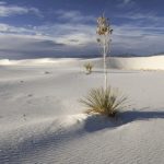 Белые пески Национальный памятник Нью-Мексико